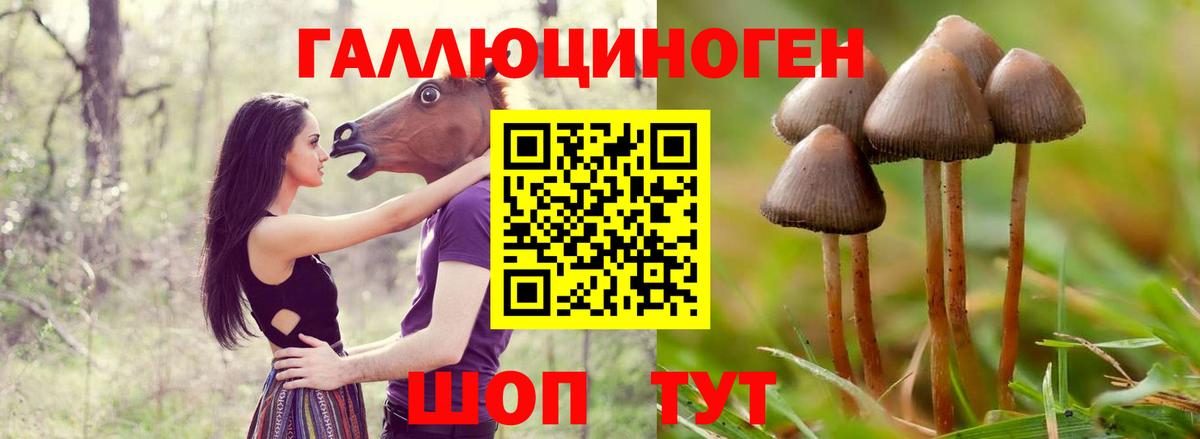 Псилоцибиновые грибы Magic Shrooms Можга
