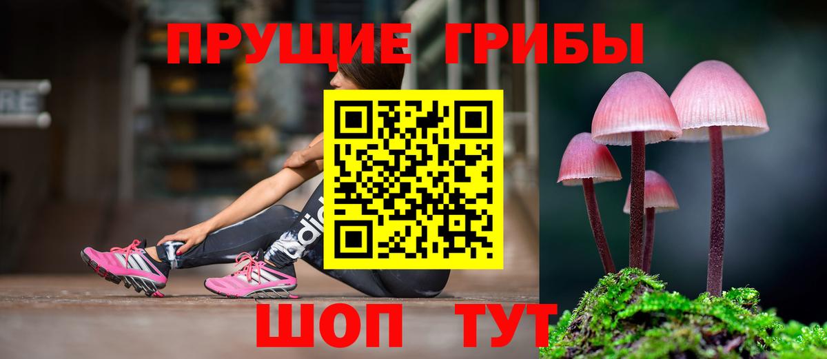 Можга  Псилоцибиновые грибы MAGIC MUSHROOMS  Вход с VPN 